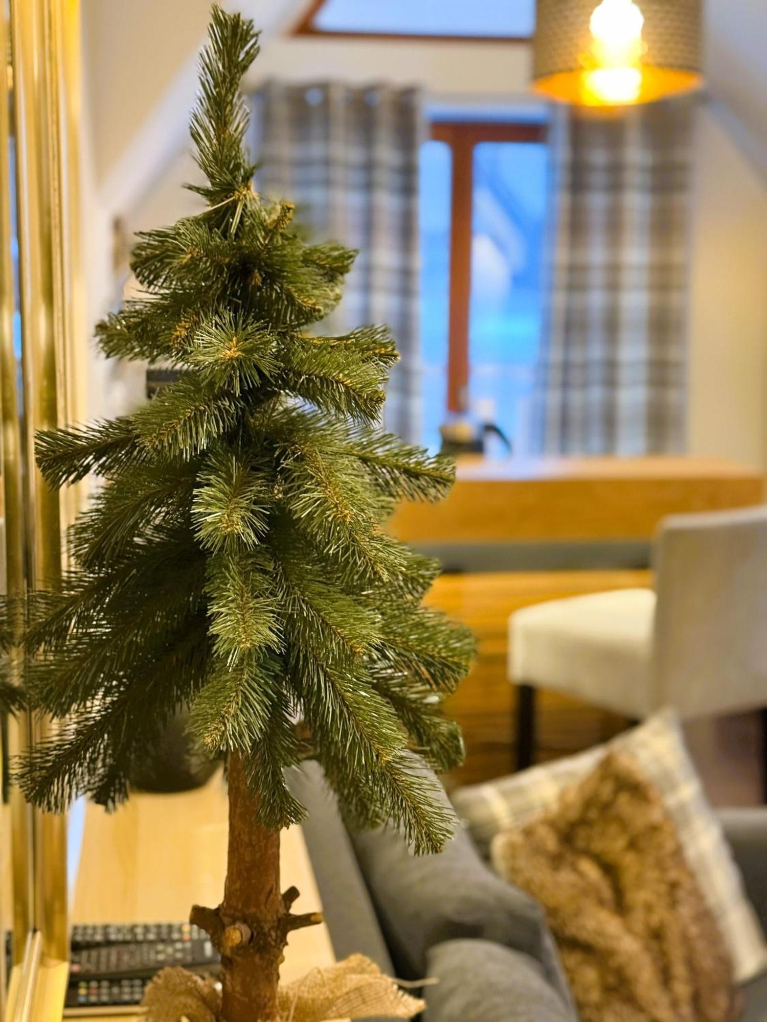Apartament Glamour I 자코파네 외부 사진
